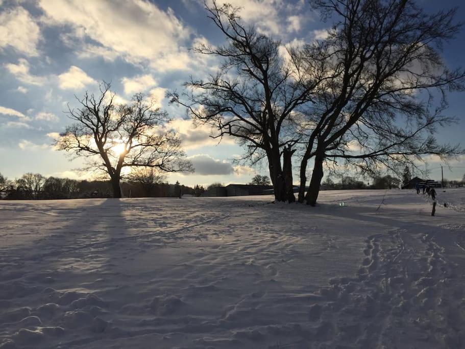 1833 Ardennes Farm Between Bastogne And Houffalize エクステリア 写真