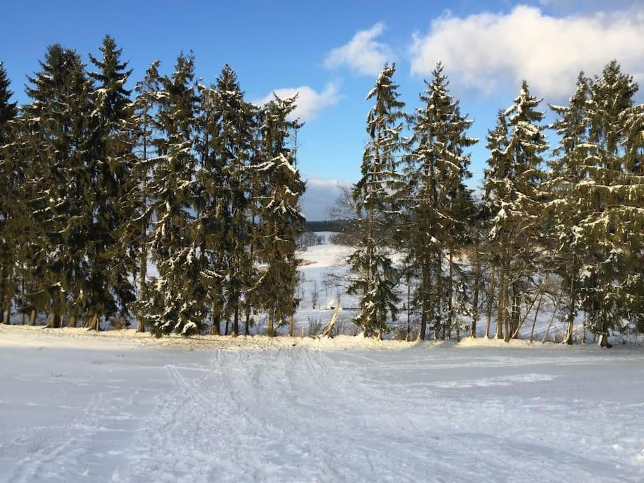 1833 Ardennes Farm Between Bastogne And Houffalize エクステリア 写真
