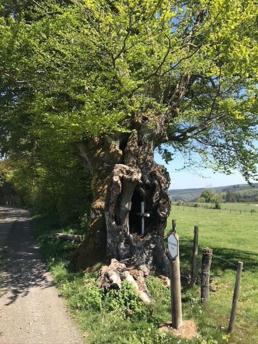 1833 Ardennes Farm Between Bastogne And Houffalize エクステリア 写真