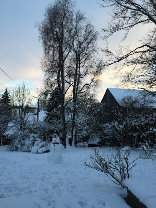 1833 Ardennes Farm Between Bastogne And Houffalize エクステリア 写真