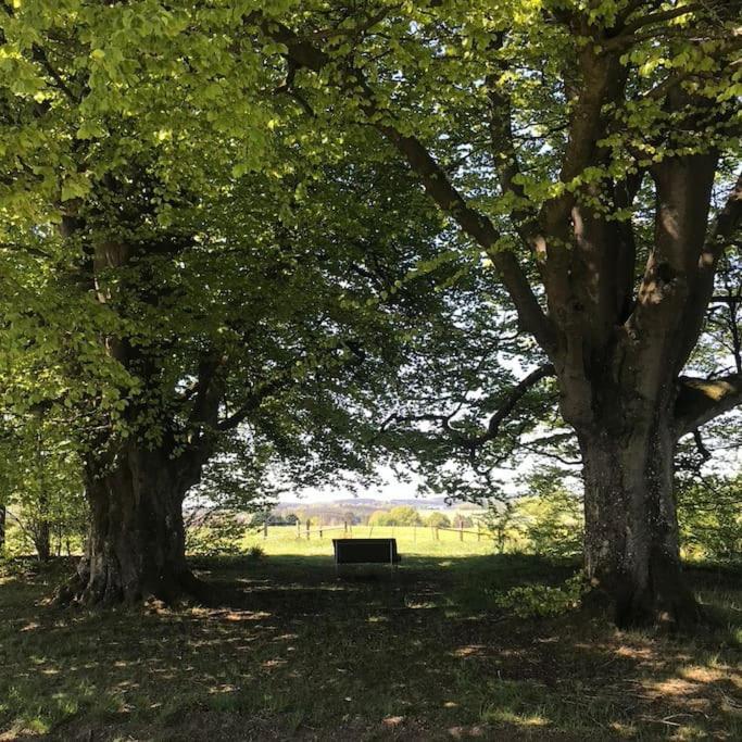 1833 Ardennes Farm Between Bastogne And Houffalize エクステリア 写真